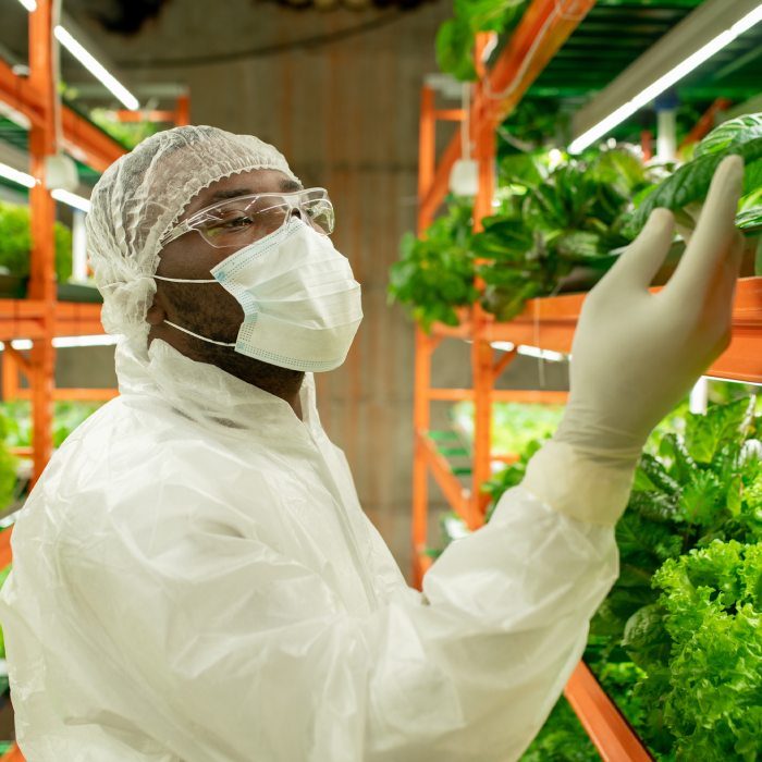 agriculture